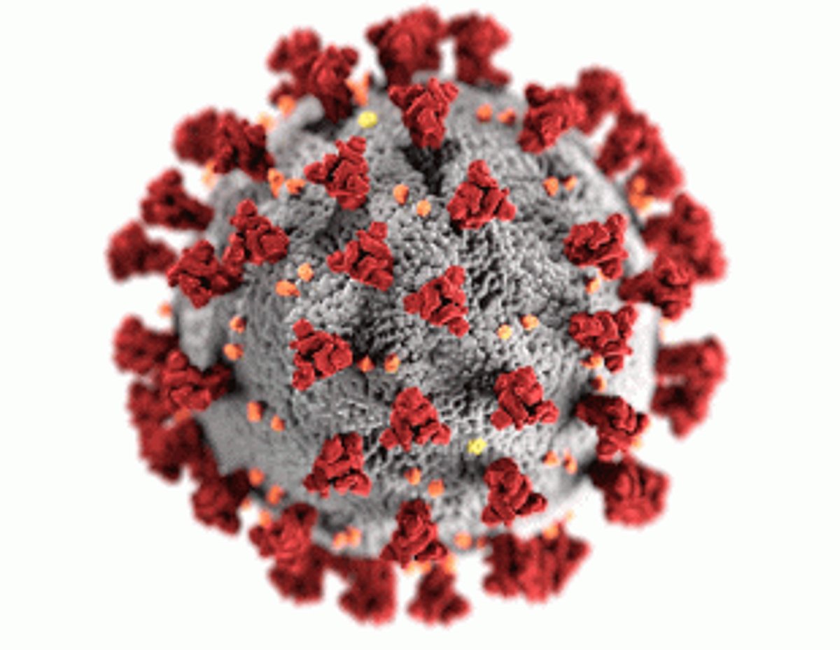 COVID-19 expert  panel recommends easing of norms