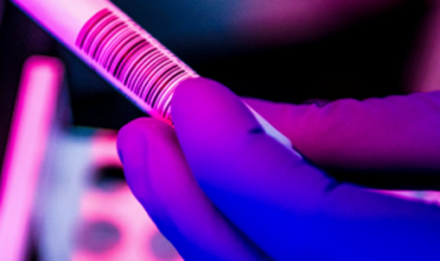 COVID-19 scare as rapid test shows 7 positive