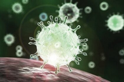 COVID case count spikes to 900, death score still critical at 22