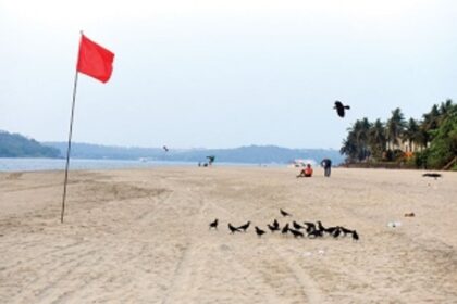 COVID case surge slumps soaring tourism prospect, yet again