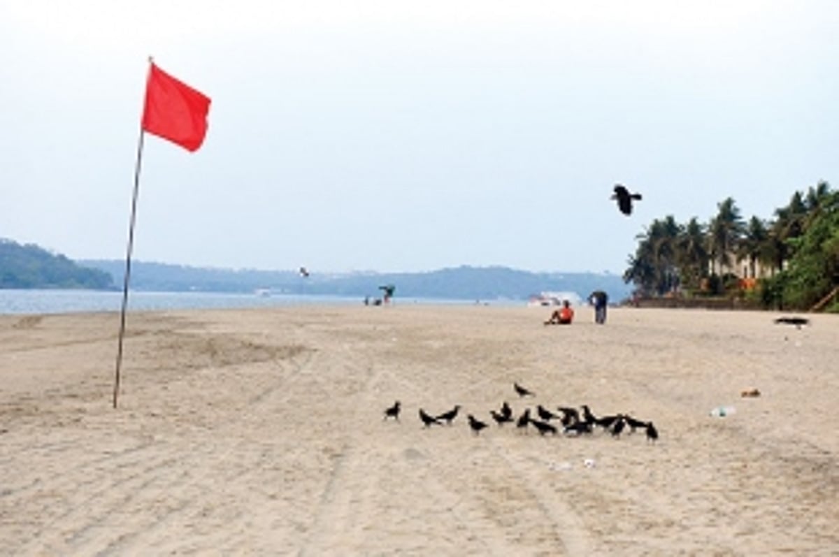 COVID case surge slumps soaring tourism prospect, yet again