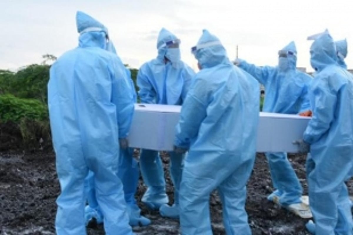 COVID cases, deaths scale new highs