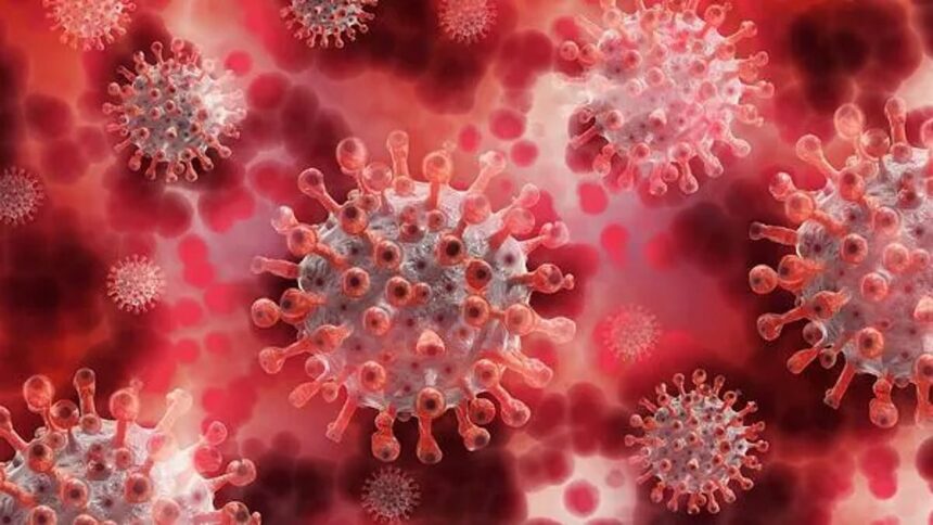 COVID cases in India: These three Indian states are reporting a spike 1 COVID cases in India: These three Indian states are reporting a spike
