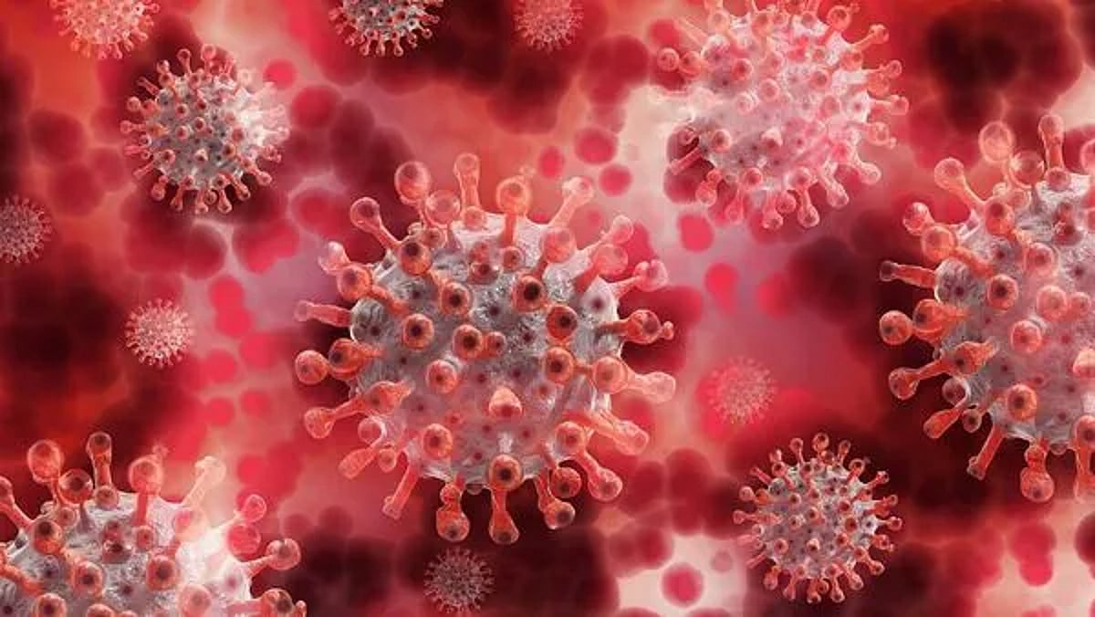 COVID cases in India: These three Indian states are reporting a spike