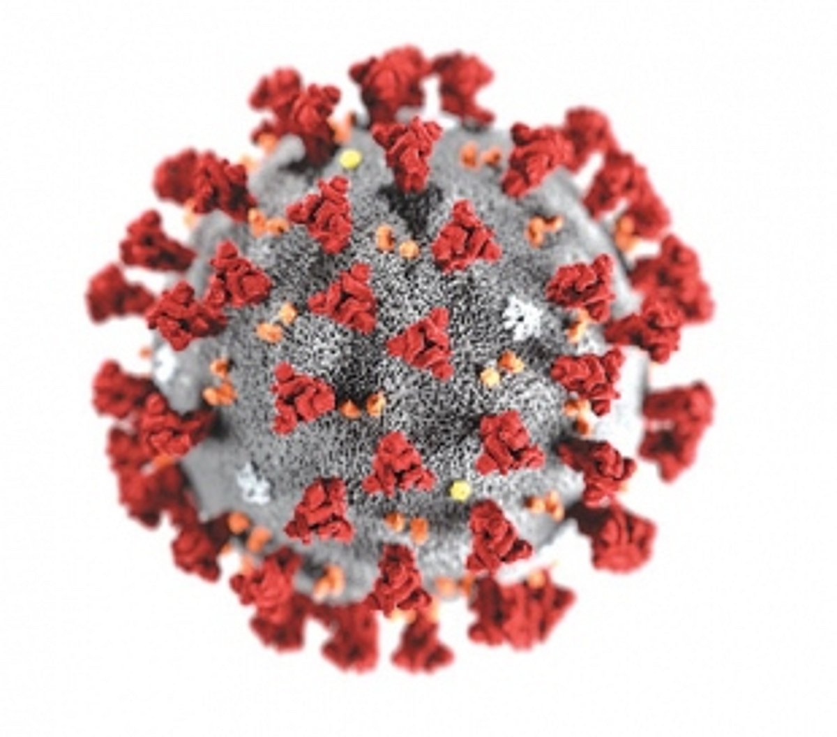 COVID claims 3rd Goan doc