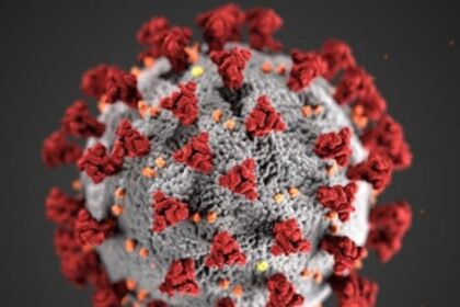 COVID mayhem: 20 deaths reported on Friday