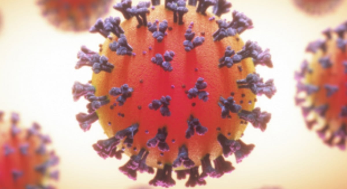 COVID poses challenge to  DGS to extend CoC, CoP