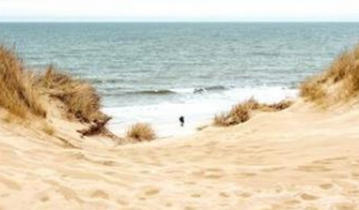 CRZ notification 2018  can be misused: UGDP