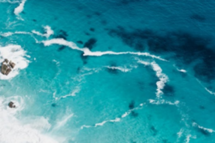 CSIR-NIO Director bags national award