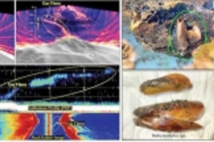 CSIR-NIO uncovers Active Gas Venting and Unique Marine Biodiversity over Submarine-Volcanic System in Andaman-Nicobar Region