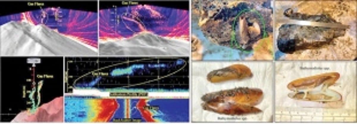CSIR-NIO uncovers Active Gas Venting and Unique Marine Biodiversity over Submarine-Volcanic System in Andaman-Nicobar Region