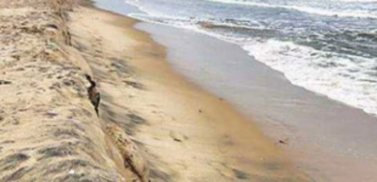 CZMP has to be in interest of Goa and Goans