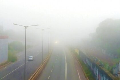 Cabinet adopts State Action Plan for Climate Change