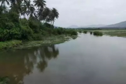 Cacora’s Nanda Lake gets international recognition
