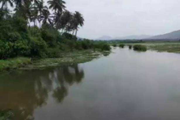 Cacora’s Nanda Lake gets international recognition