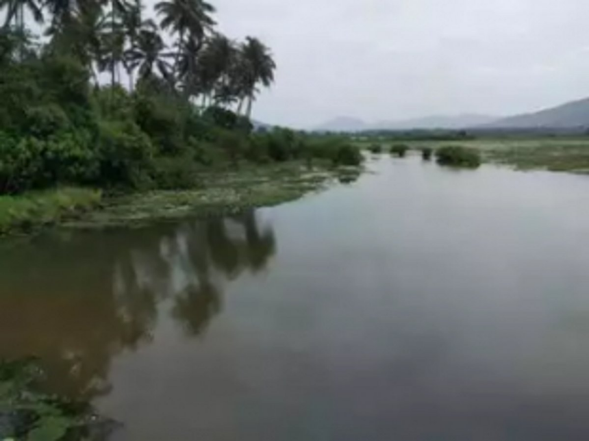 Cacora’s Nanda Lake gets international recognition