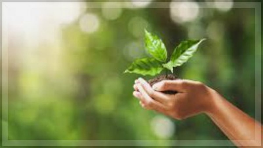 Calangute Forum Opposes Commercial Development of Sinquerim Hill, Urges Eco-Friendly Alternatives 1 Calangute Forum Opposes Commercial Development of Sinquerim Hill, Urges Eco-Friendly Alternatives