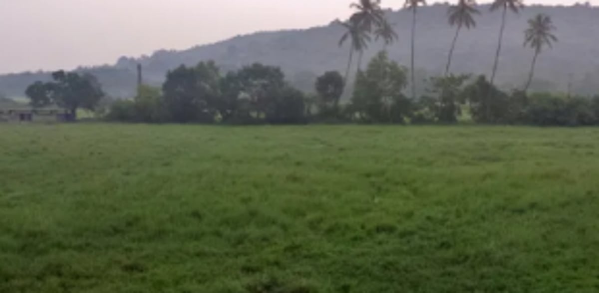 Calangute ex-sarpanch objects to setting up  of petrol pump in field