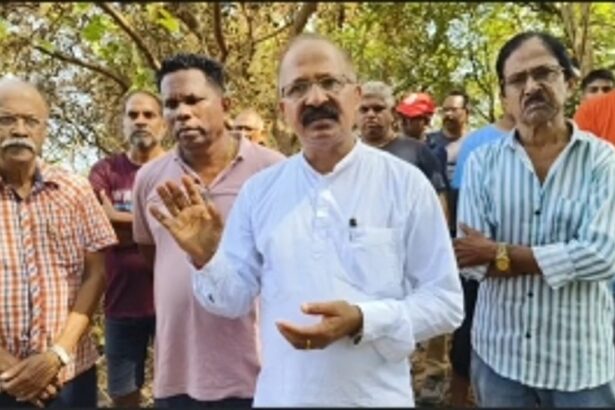 Calangute locals raises concerns and files complaints against illegal Tree Cuttings in Candolim