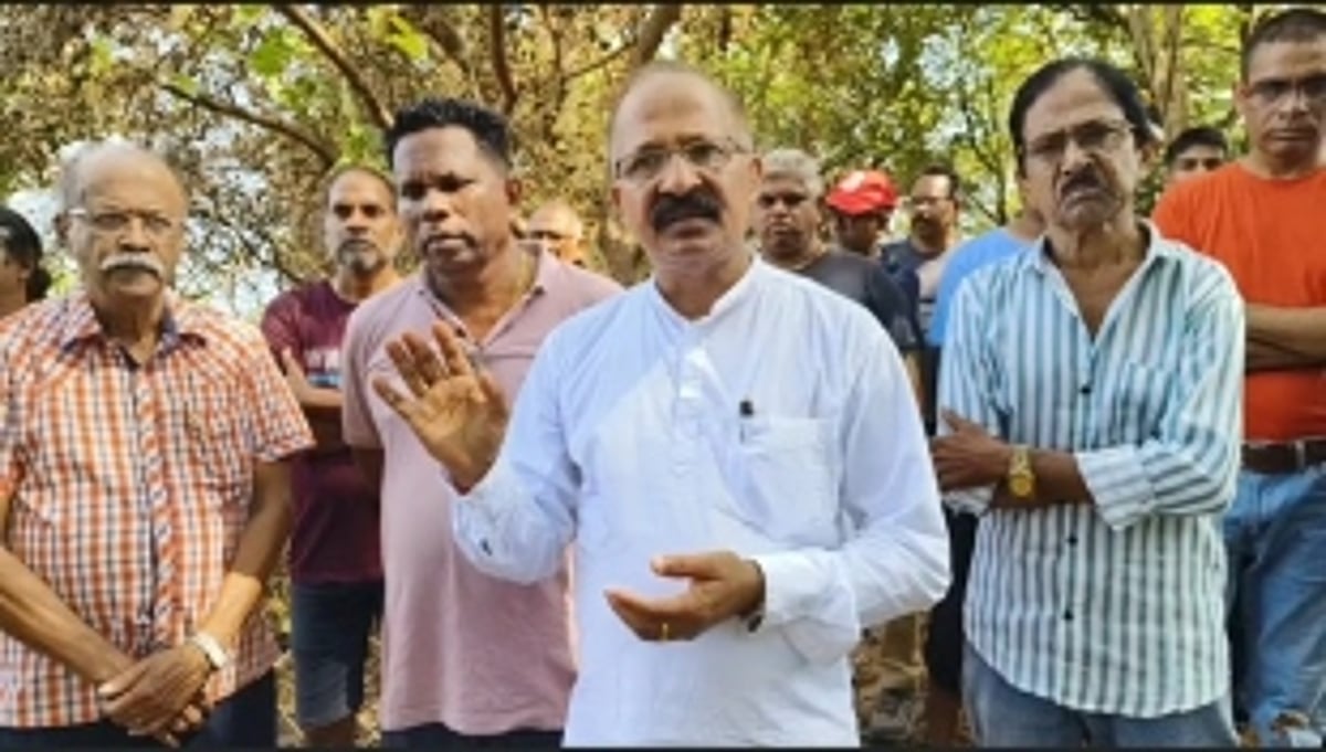 Calangute locals raises concerns and files complaints against illegal Tree Cuttings in Candolim