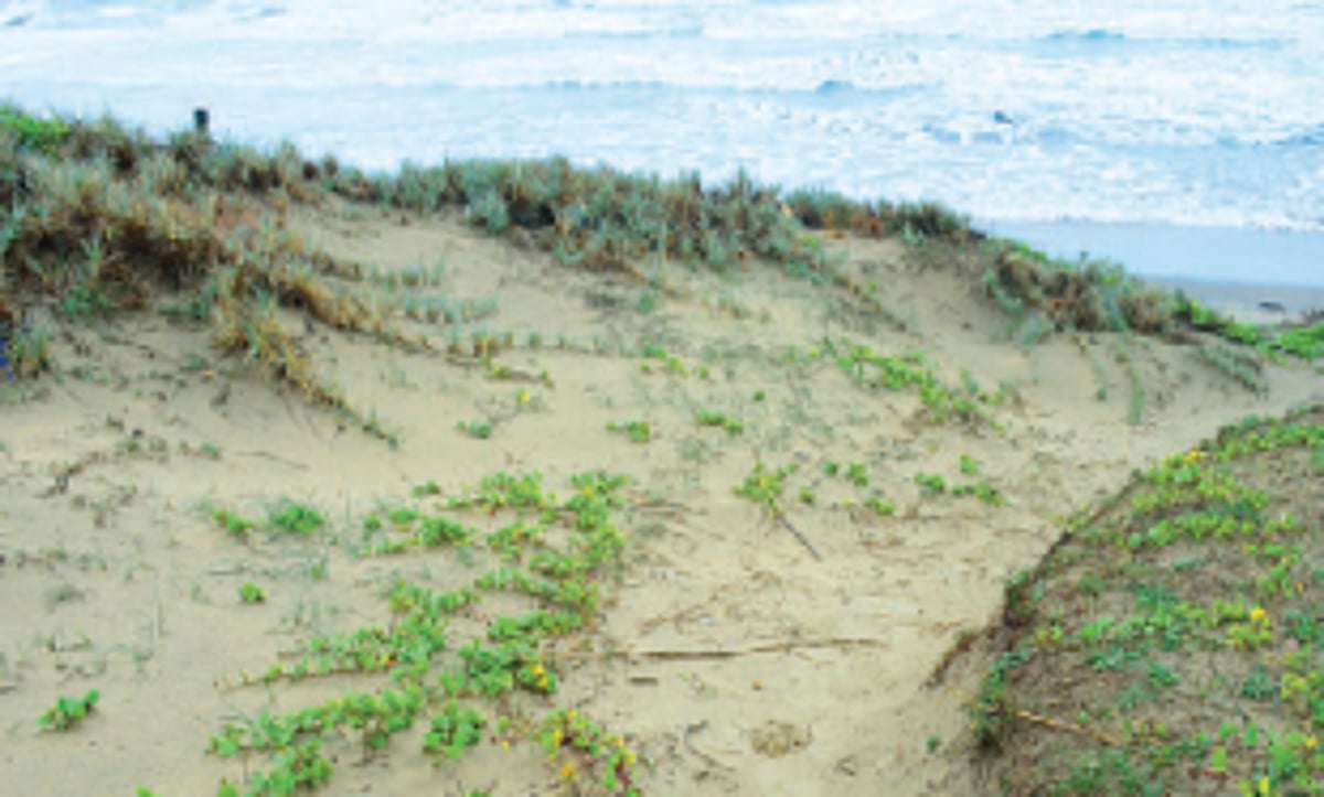 Calangute villagers object to destruction of the beach