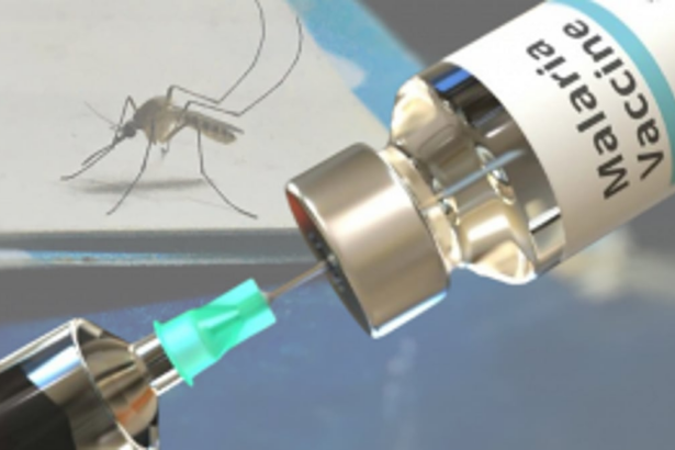 Cameroon Launches World's First Major Malaria Vaccine Program for Children