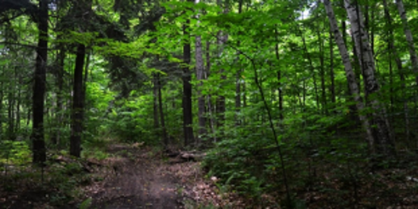 Can Goa afford reduction of ESA villages?