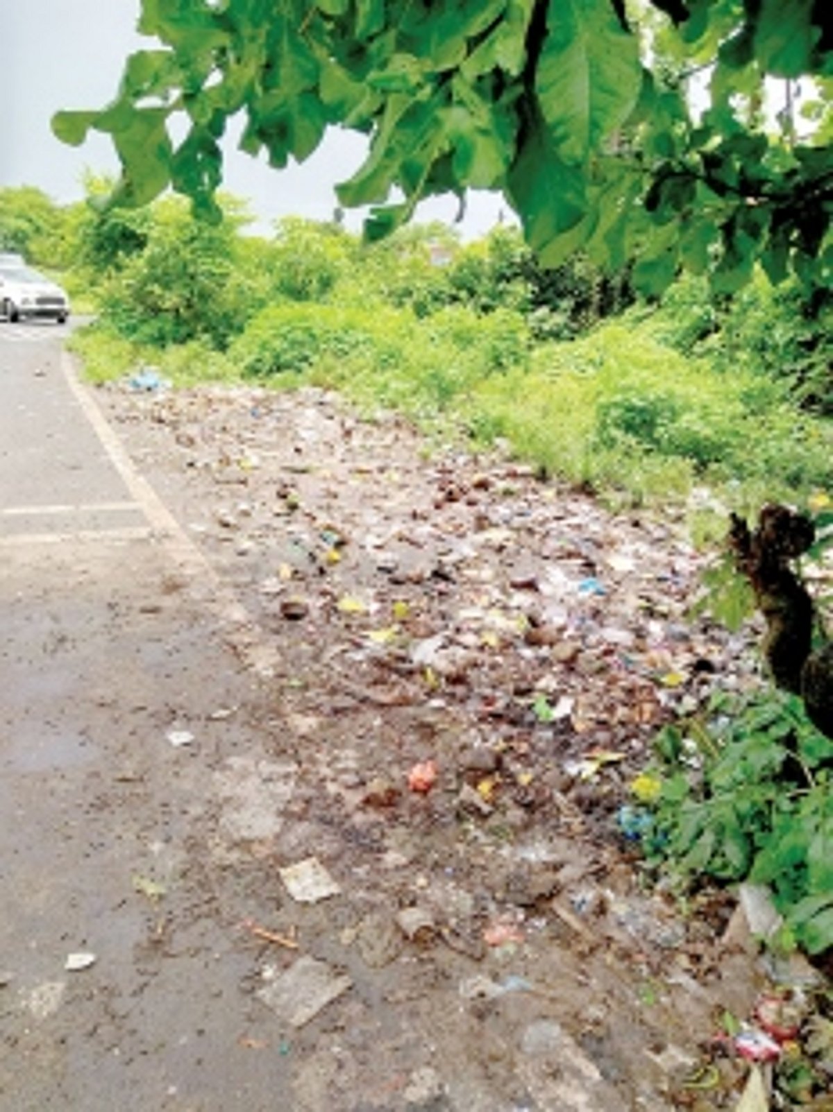 Can Porvorim   MLA help clear garbage