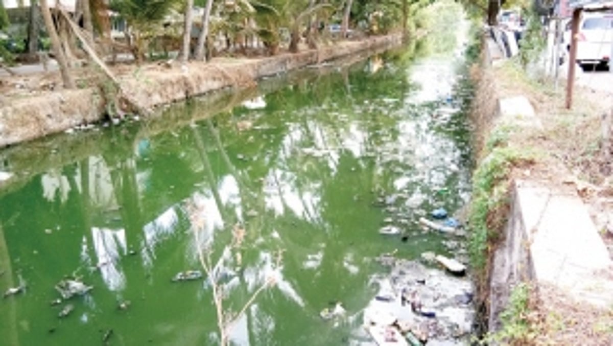 Can we really SANITIZE these dirty pictures?