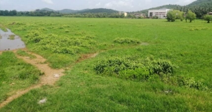 Canacona farmers shy away from agriculture