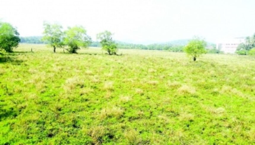 Canacona farmers shy away from sowing rabi crops