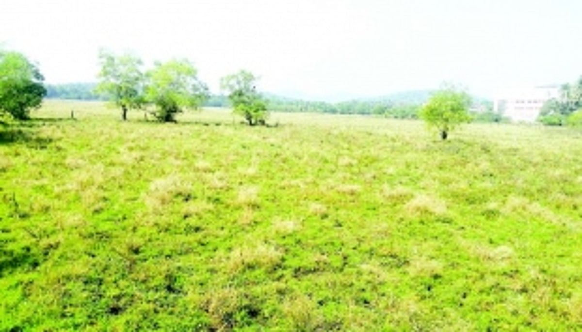 Canacona farmers shy away from sowing rabi crops