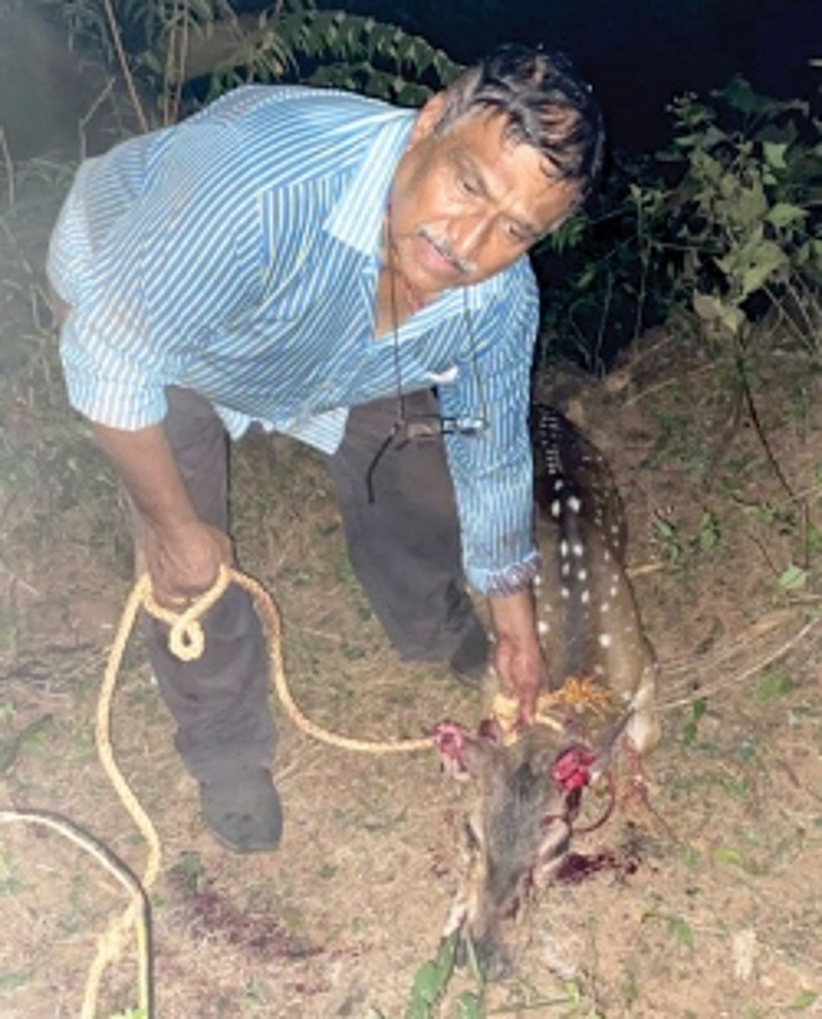 Canacona man saves deer from jaws of death, hailed as hero on social media