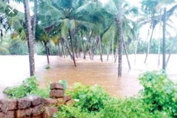 Canacona taluka locals recall 2009  horror; fear recurrence of flash floods