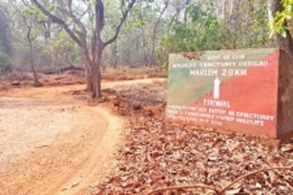 Canacona tribal villagers upbeat after MLA   gets forest chairmanship