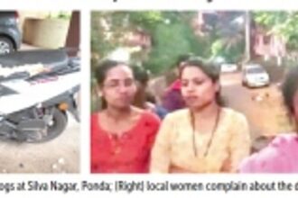 Canine menace raises its ugly  head in Ponda’s Silva Nagar
