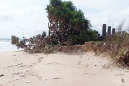 Cansaulim coastline loses not just sand  but also its glorious past