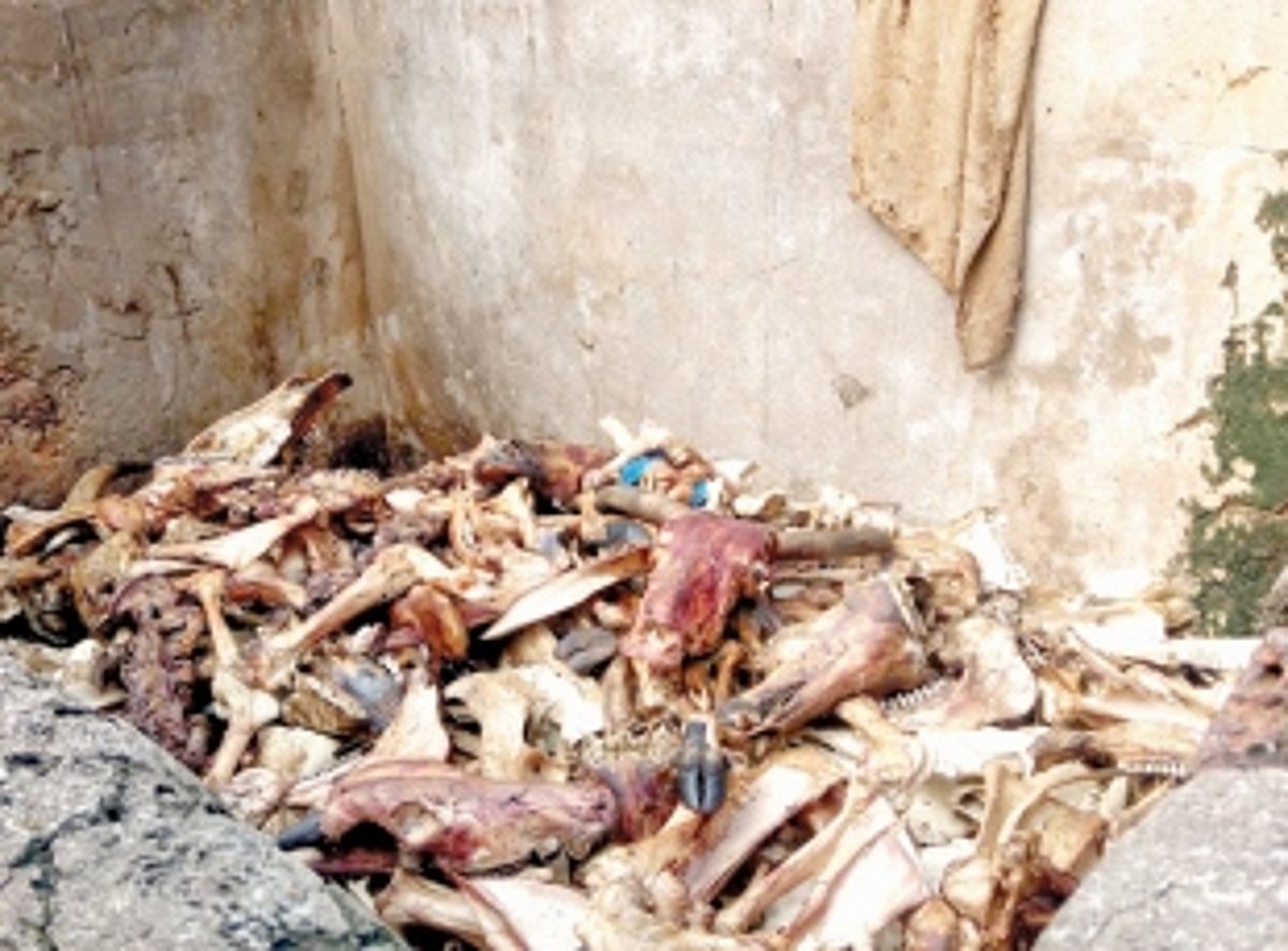 Cansaulim local held for illegal slaughter