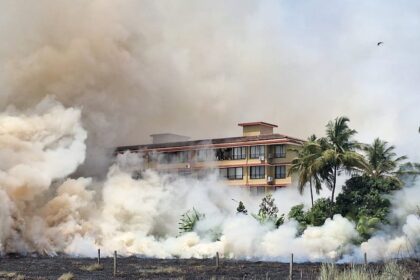 Caranzalem Fire Forces Residents to Relocate; Leader of the Opposition Blames Govt Inaction