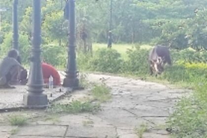 Caranzalem garden should be brought back to life