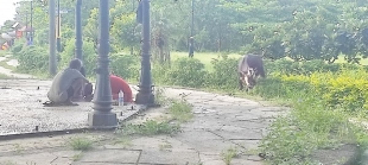 Caranzalem garden should be brought back to life