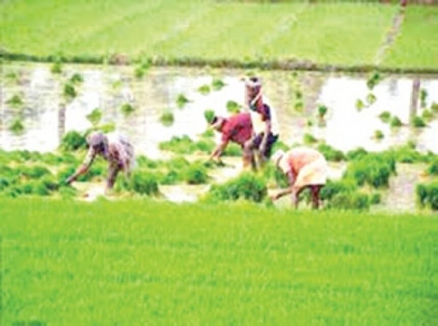 Carmona farmers to form cluster groups to take forward community farming initiative 1 Carmona farmers to form cluster groups to take forward community farming initiative