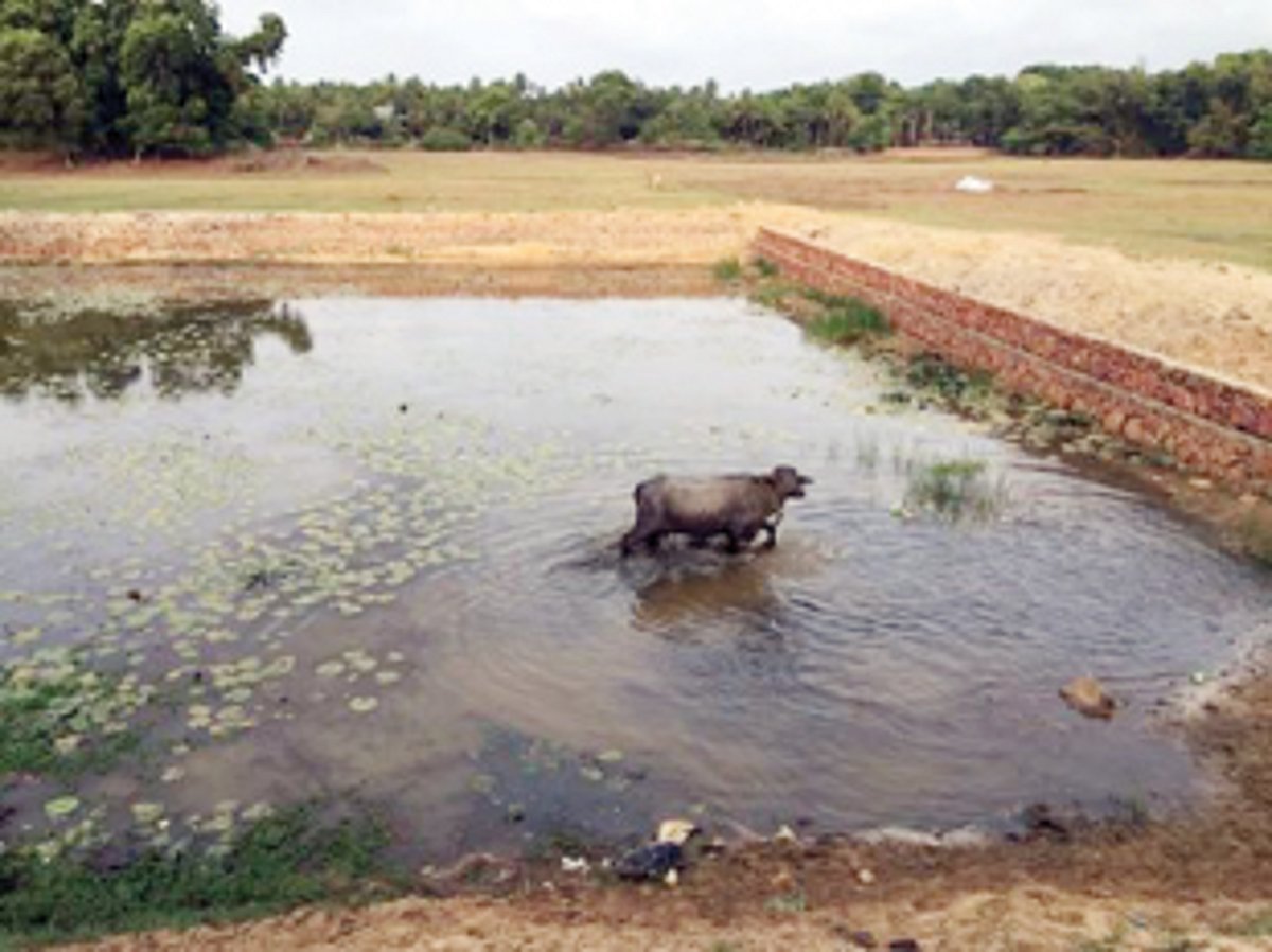 Carmona’s troubled lake