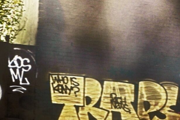 Case a ‘laid down trap’ to ruin my  career: Disgraced swimming coach