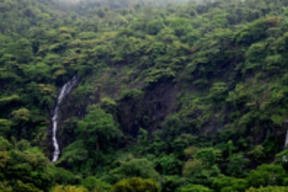 Cases of Netravali tribals to be disposed soon: Sanguem Dy Collector