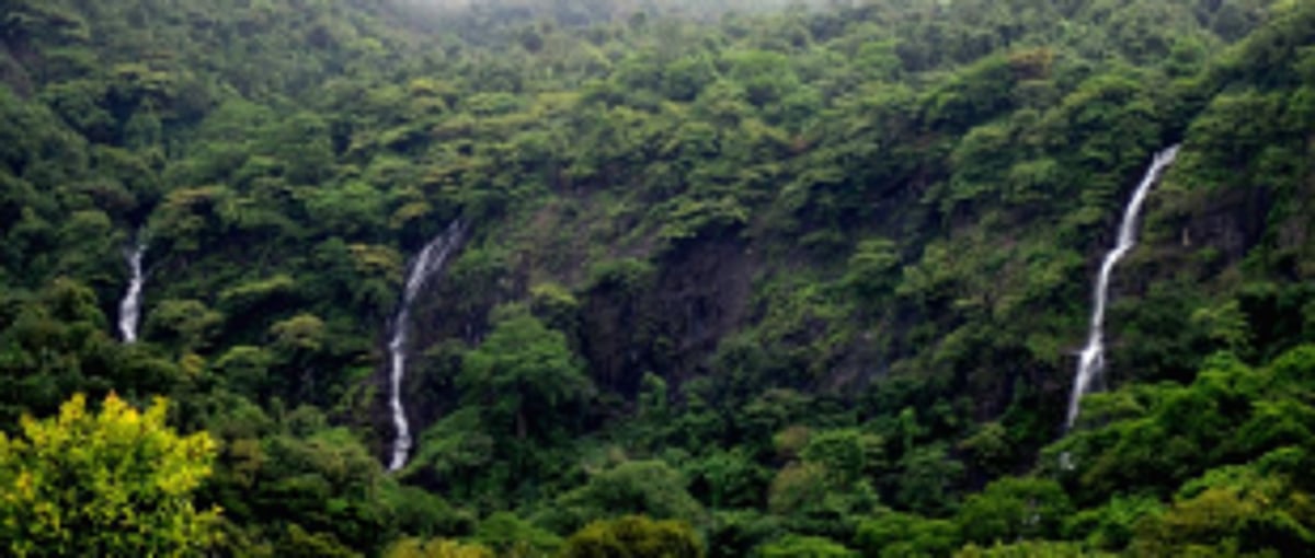 Cases of Netravali tribals to be disposed soon: Sanguem Dy Collector