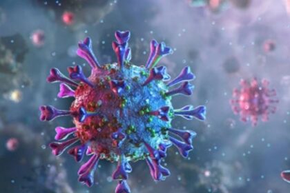 Cases under Margao UHC  skyrocket to 518 from 110