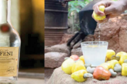 Cashew farmers, feni producers warn of possible loss due to unseasonal rains