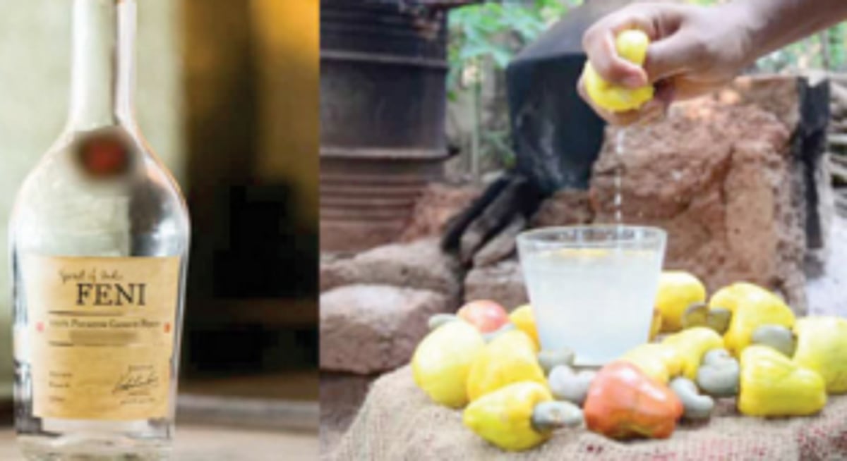 Cashew farmers, feni producers warn of possible loss due to unseasonal rains