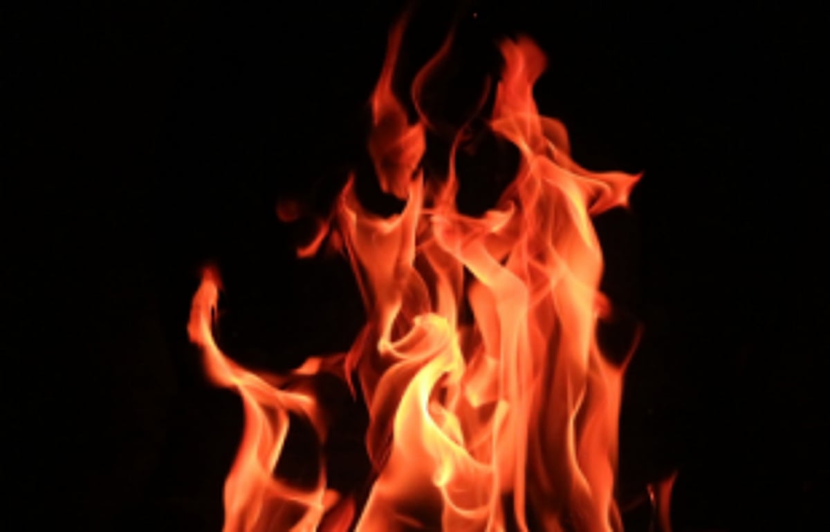 Cashew, mango plantations gutted